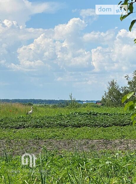 трикімнатна дача з мансардним поверхом, 65 кв. м, цегла. Продаж в Пінчуках (Київська обл.) фото 1 трикімнатна дача з мансардним поверхом, 65 кв. м, цегла. Продаж в Пінчуках (Київська обл.) фото 1