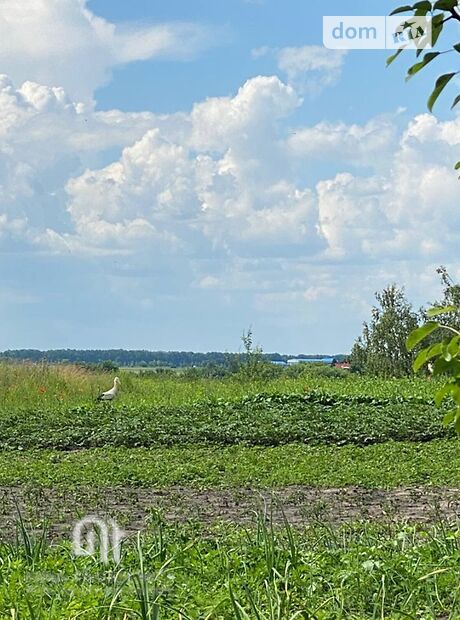 трикімнатна дача з мансардним поверхом, 65 кв. м, цегла. Продаж в Пінчуках (Київська обл.) фото 1 трикімнатна дача з мансардним поверхом, 65 кв. м, цегла. Продаж в Пінчуках (Київська обл.) фото 1