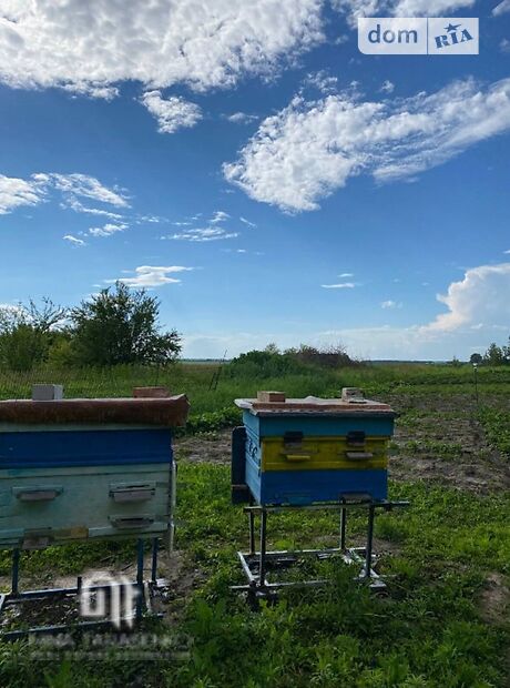 трикімнатна дача з мансардним поверхом, 65 кв. м, цегла. Продаж в Пінчуках (Київська обл.) фото 1 трикімнатна дача з мансардним поверхом, 65 кв. м, цегла. Продаж в Пінчуках (Київська обл.) фото 1