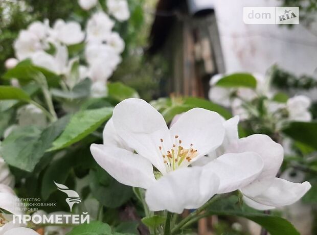 однокомнатная дача, 12 кв. м, кирпич. Продажа в Виннице, в районе Бучмы фото 1 однокомнатная дача, 12 кв. м, кирпич. Продажа в Виннице, в районе Бучмы фото 1
