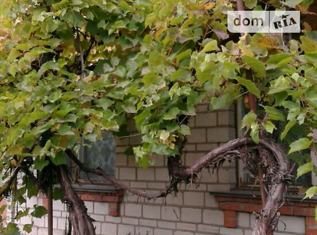 Продажа дачи, 48м², Винница, c. Хижинцы Продажа дачи, 48м², Винница, c. Хижинцы
