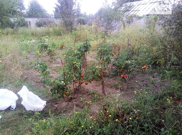 двухкомнатная дача, 33 кв. м, кирпич. Продажа в Виннице, в районе Пятничаны фото 1 двухкомнатная дача, 33 кв. м, кирпич. Продажа в Виннице, в районе Пятничаны фото 1