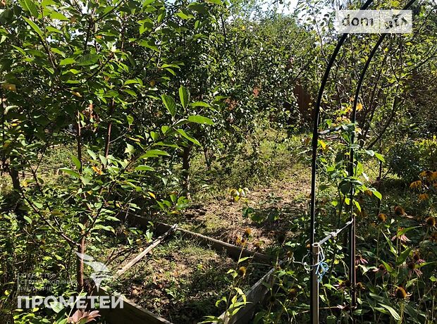 трехкомнатная дача c мансардным этажом, 60 кв. м, кирпич. Продажа в Стрижавке (Винницкая обл.) фото 1 трехкомнатная дача c мансардным этажом, 60 кв. м, кирпич. Продажа в Стрижавке (Винницкая обл.) фото 1