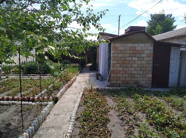 трехкомнатная дача, 64 кв. м, кирпич. Продажа в Ровжах (Киевская обл.) фото 1 трехкомнатная дача, 64 кв. м, кирпич. Продажа в Ровжах (Киевская обл.) фото 1