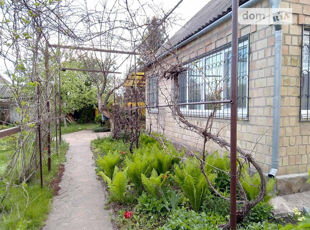 четырехкомнатная дача c мансардным этажом, 80 кв. м, кирпич. Продажа в Ровжах (Киевская обл.) фото 1 четырехкомнатная дача c мансардным этажом, 80 кв. м, кирпич. Продажа в Ровжах (Киевская обл.) фото 1