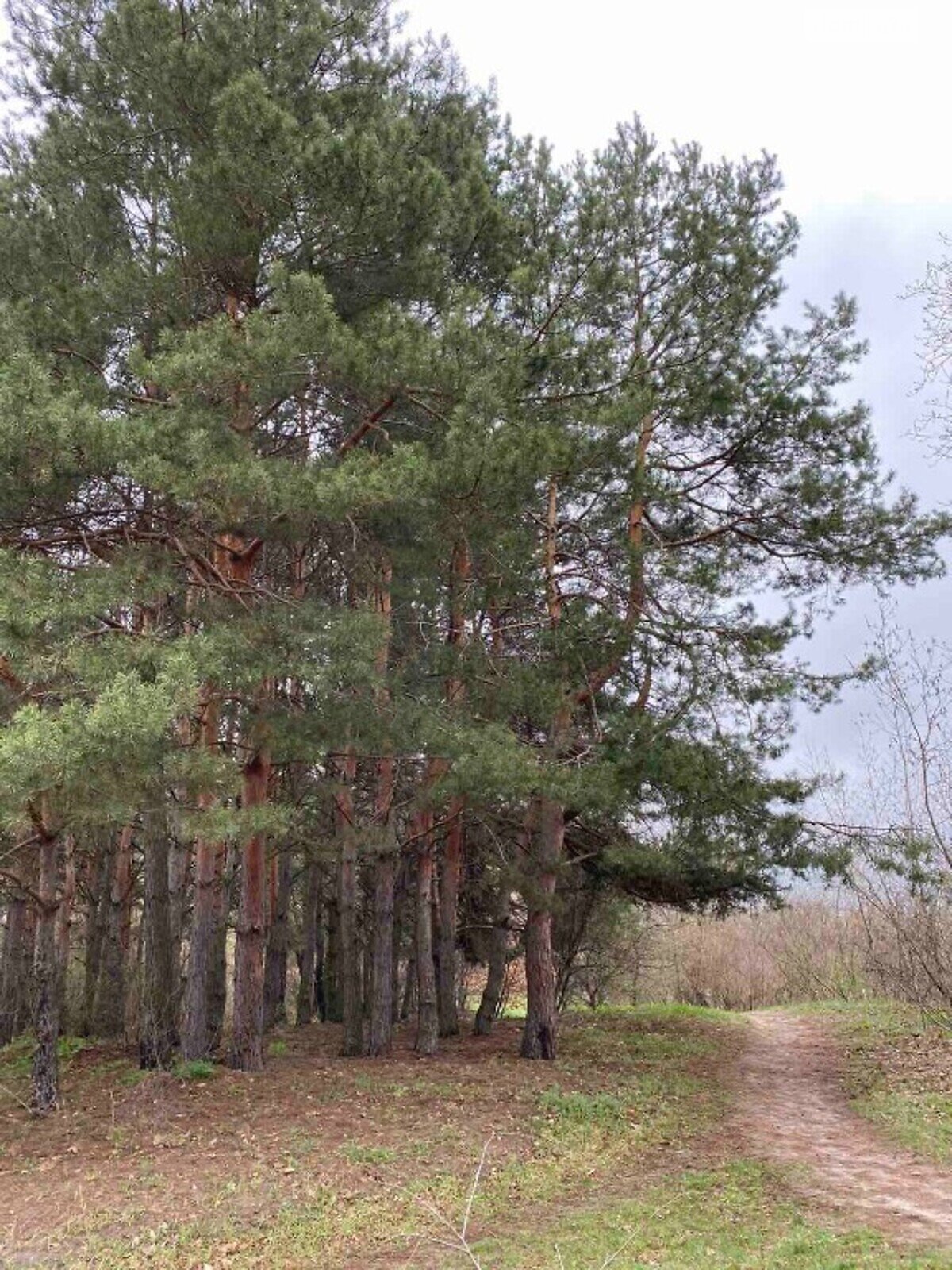 двухэтажный дом, 160 кв. м, кирпич. Продажа в Осещине фото 1 двухэтажный дом, 160 кв. м, кирпич. Продажа в Осещине фото 1