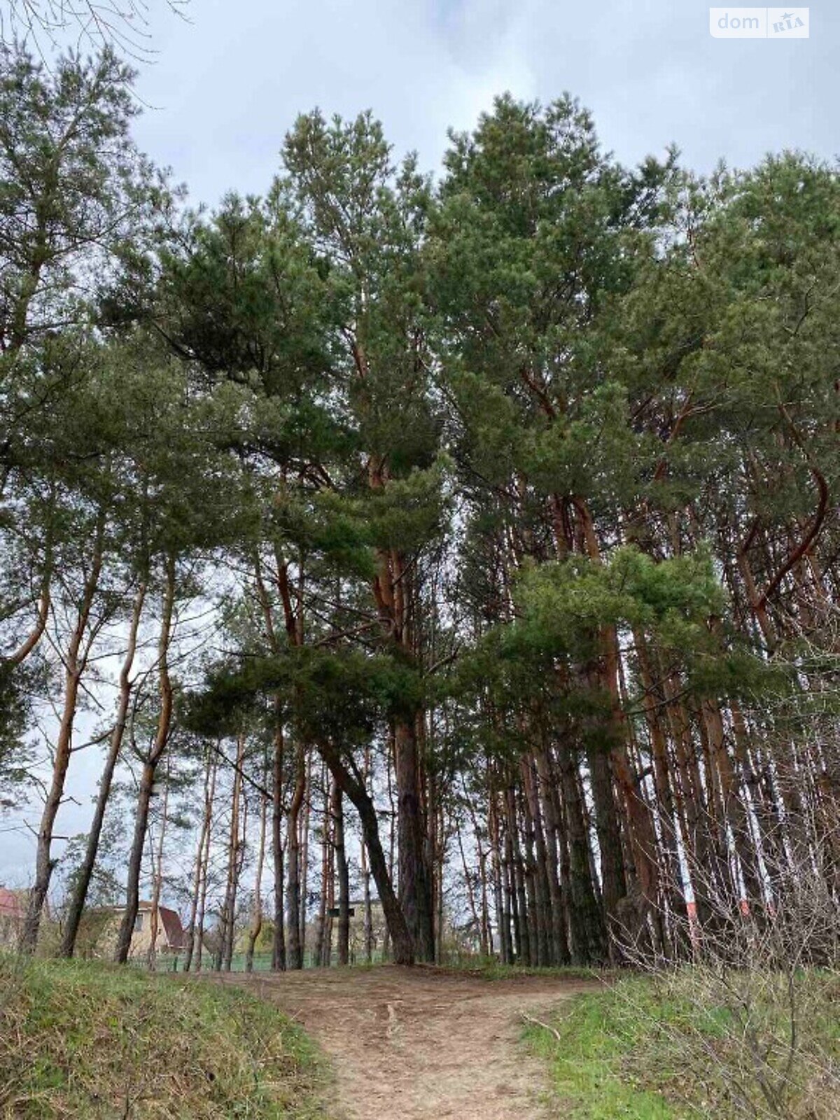 двухэтажный дом, 160 кв. м, кирпич. Продажа в Осещине фото 1 двухэтажный дом, 160 кв. м, кирпич. Продажа в Осещине фото 1