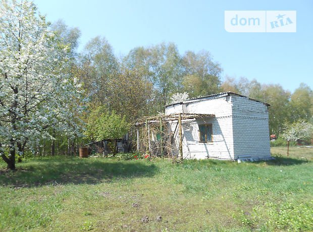 Продажа дачи, 30м², Черкасская, Золотоноша, c. Чапаевка Продажа дачи, 30м², Черкасская, Золотоноша, c. Чапаевка