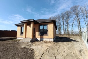 одноповерховий будинок, 100 кв. м, кирпич. Продаж у Агрономічному фото 2