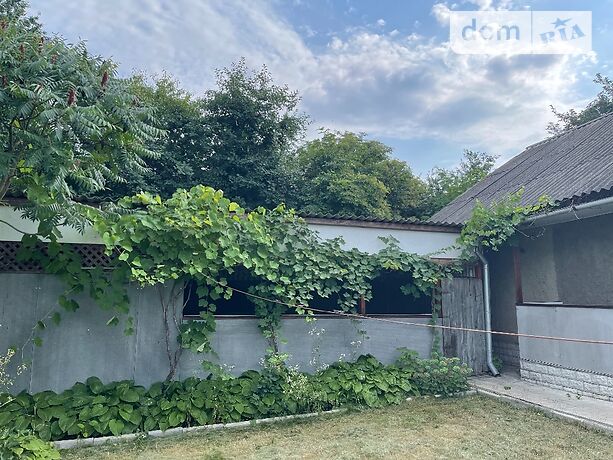 одноповерховий будинок з каміном, 49 кв. м, цегла. Продаж в Бакирівці (Сумська обл.) фото 1 одноповерховий будинок з каміном, 49 кв. м, цегла. Продаж в Бакирівці (Сумська обл.) фото 1
