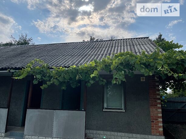 одноповерховий будинок з каміном, 49 кв. м, цегла. Продаж в Бакирівці (Сумська обл.) фото 1 одноповерховий будинок з каміном, 49 кв. м, цегла. Продаж в Бакирівці (Сумська обл.) фото 1