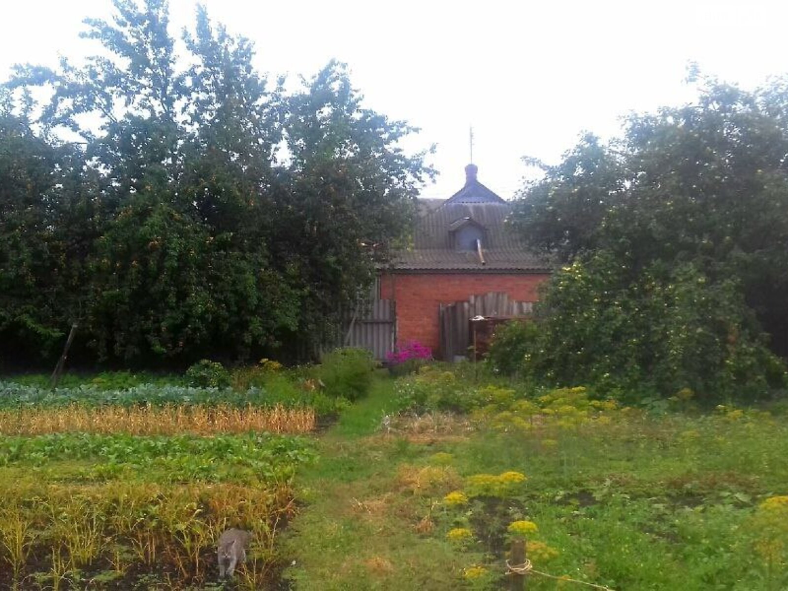 одноповерховий будинок з гаражем, 78 кв. м, цегла. Продаж у Охтирці фото 1 одноповерховий будинок з гаражем, 78 кв. м, цегла. Продаж у Охтирці фото 1