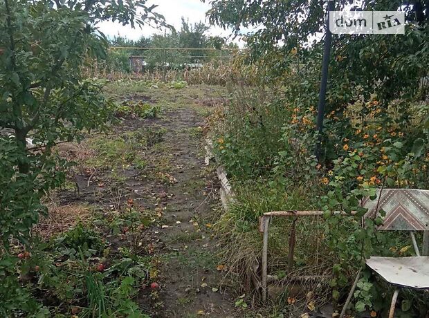 одноэтажный дом с подвалом, 47 кв. м, кирпич. Продажа в Александрии район Александрия фото 1 одноэтажный дом с подвалом, 47 кв. м, кирпич. Продажа в Александрии район Александрия фото 1