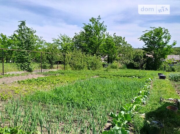 одноэтажный дом с садом, 80 кв. м, кирпич саманный. Продажа в Александрии район Александрия фото 1 одноэтажный дом с садом, 80 кв. м, кирпич саманный. Продажа в Александрии район Александрия фото 1