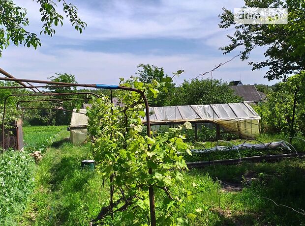 одноэтажный дом с садом, 80 кв. м, кирпич саманный. Продажа в Александрии район Александрия фото 1 одноэтажный дом с садом, 80 кв. м, кирпич саманный. Продажа в Александрии район Александрия фото 1