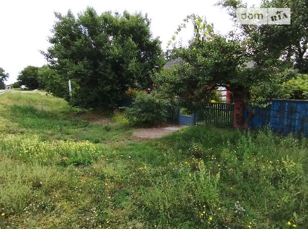 одноэтажный дом с верандой, 62 кв. м, кирпич. Продажа в Приютовке фото 1 одноэтажный дом с верандой, 62 кв. м, кирпич. Продажа в Приютовке фото 1