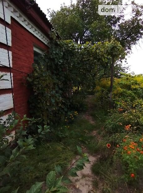 одноэтажный дом с верандой, 62 кв. м, кирпич. Продажа в Приютовке фото 1 одноэтажный дом с верандой, 62 кв. м, кирпич. Продажа в Приютовке фото 1