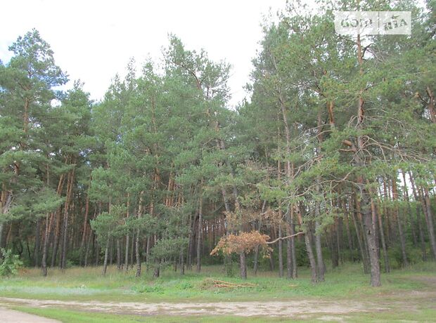 трехэтажный дом с камином, 288 кв. м, кирпич. Продажа в Звенигородке фото 1 трехэтажный дом с камином, 288 кв. м, кирпич. Продажа в Звенигородке фото 1