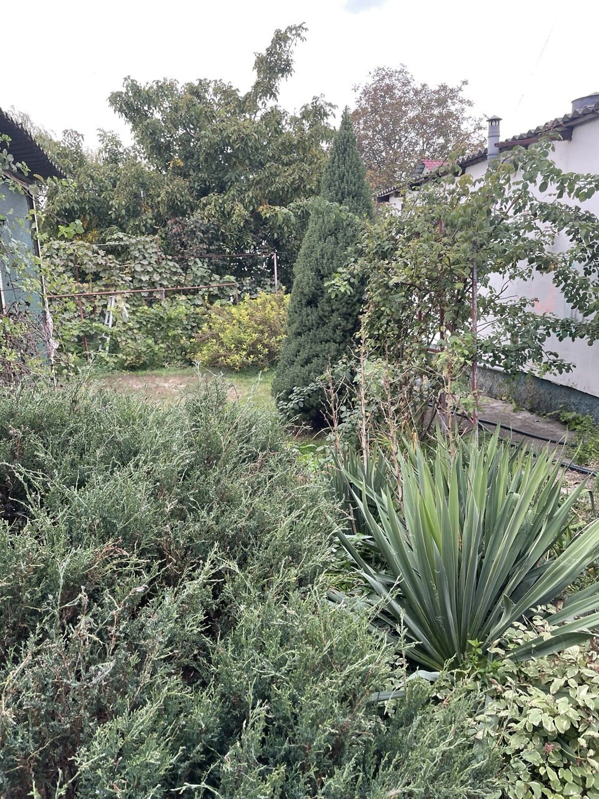 двухэтажный дом, 145.7 кв. м, кирпич. Продажа в Александровке фото 1