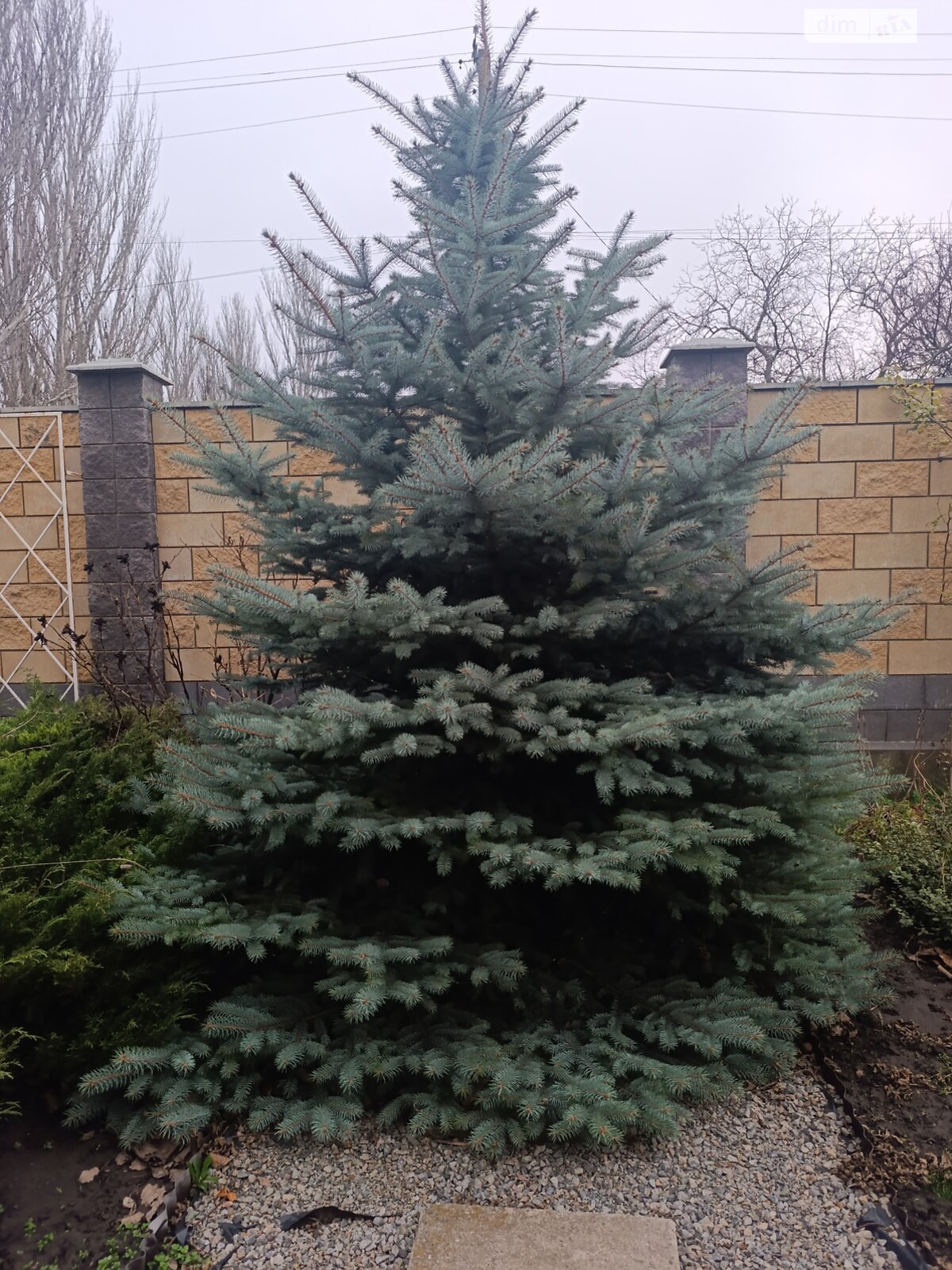 двоповерховий будинок з гаражем, 132 кв. м, цегла. Продаж у Олександрівці фото 1