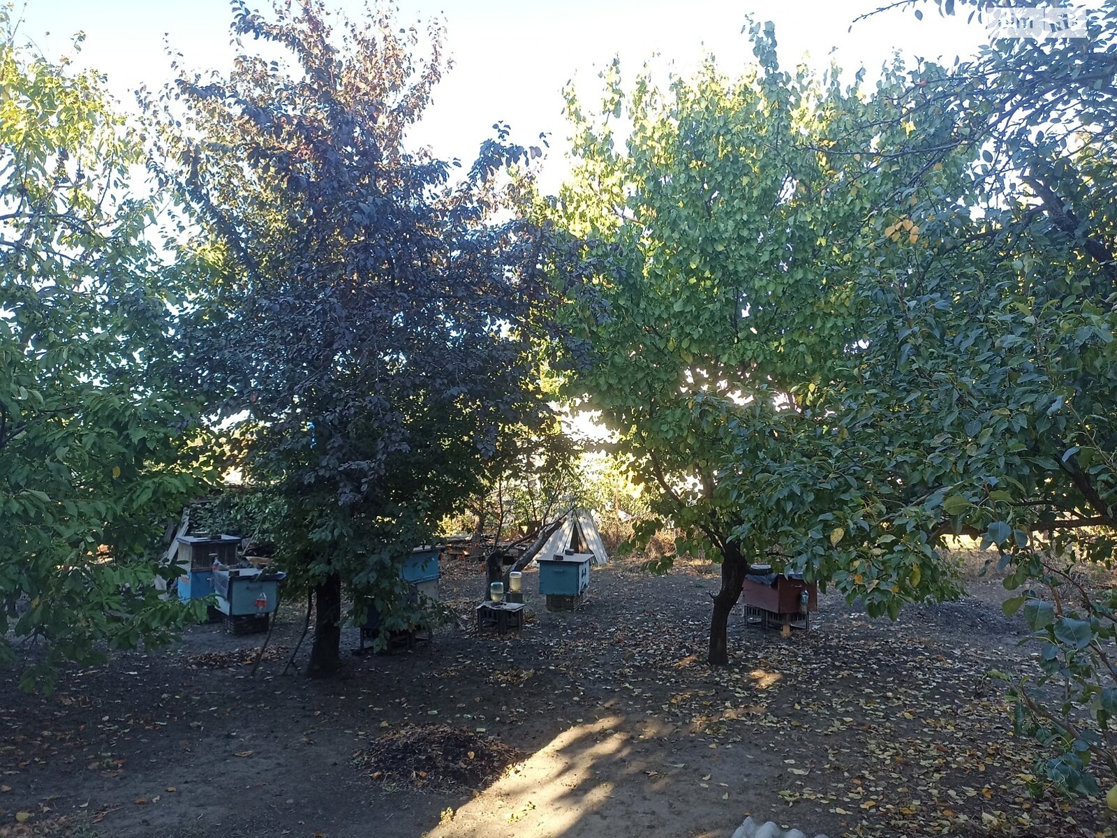 одноповерховий будинок, 57 кв. м, цегла саманна. Продаж у Олександрівці фото 1 одноповерховий будинок, 57 кв. м, цегла саманна. Продаж у Олександрівці фото 1