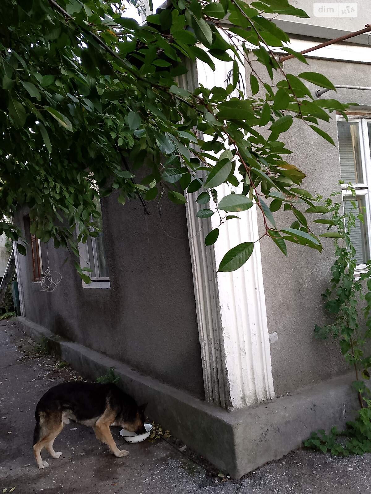 одноэтажный дом с отоплением, 58.9 кв. м, кирпич. Продажа в Александровке фото 1 одноэтажный дом с отоплением, 58.9 кв. м, кирпич. Продажа в Александровке фото 1