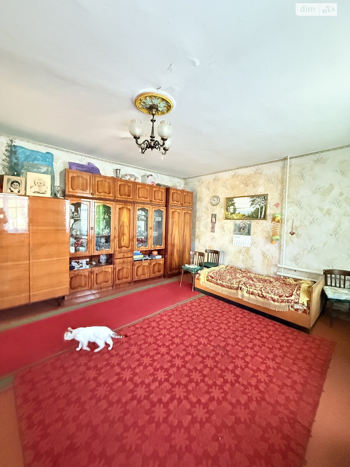 одноповерховий будинок, 70 кв. м, ракушечник (ракушняк). Продаж у Олександрівці фото 1 одноповерховий будинок, 70 кв. м, ракушечник (ракушняк). Продаж у Олександрівці фото 1