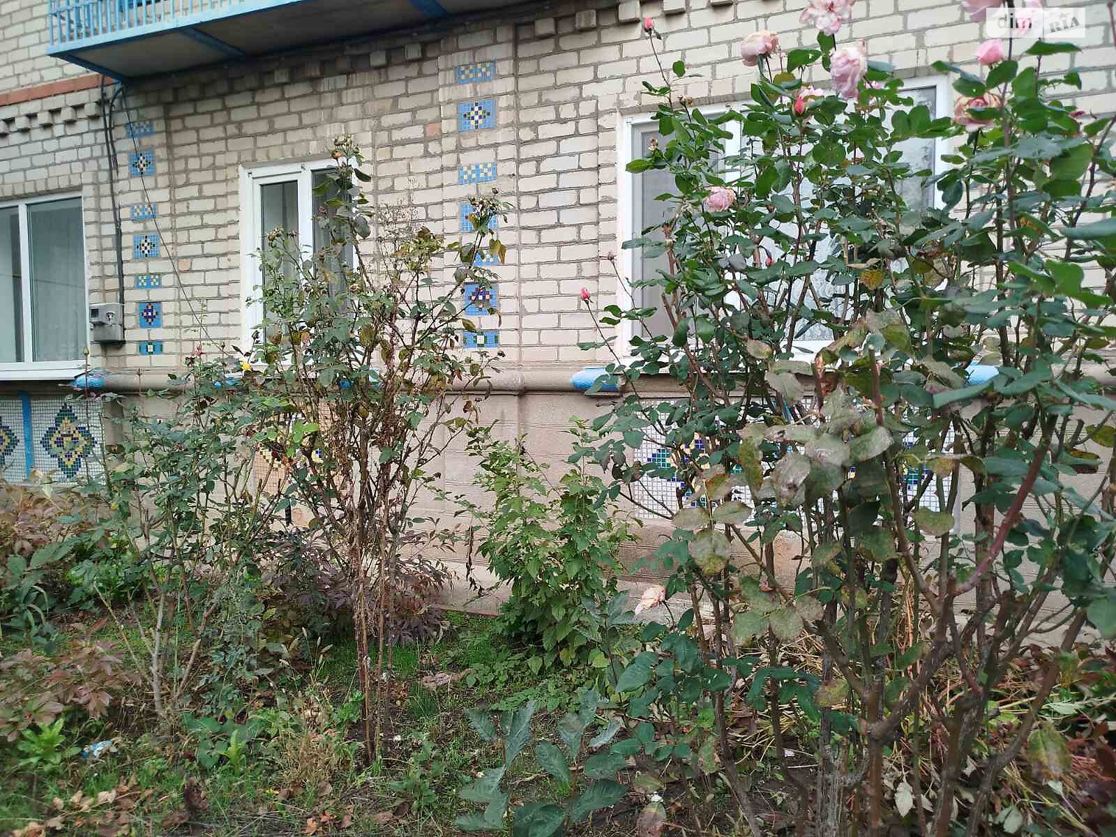 двоповерховий будинок з верандою, 79.8 кв. м, цегла. Продаж у Олександрівці фото 1 двоповерховий будинок з верандою, 79.8 кв. м, цегла. Продаж у Олександрівці фото 1