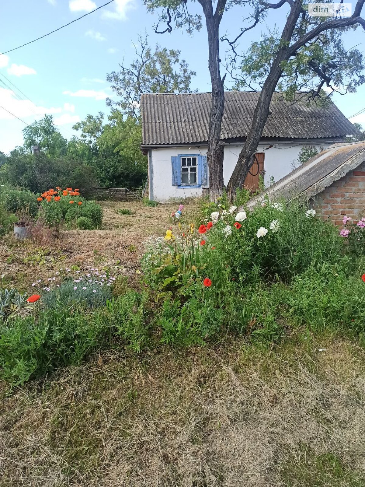 одноповерховий будинок з опаленням, 31.1 кв. м, цегла. Продаж у Олексіївці фото 1 одноповерховий будинок з опаленням, 31.1 кв. м, цегла. Продаж у Олексіївці фото 1