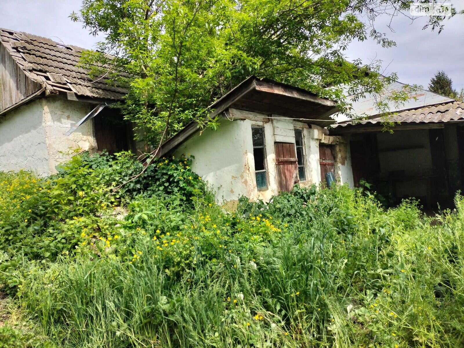 одноповерховий будинок, 74 кв. м, дерево та цегла. Продаж у Олексіївка фото 1 одноповерховий будинок, 74 кв. м, дерево та цегла. Продаж у Олексіївка фото 1