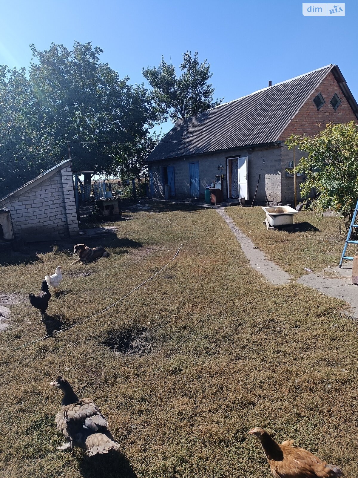 одноповерховий будинок з ремонтом, 85 кв. м, цегла. Продаж у Калинівці фото 1