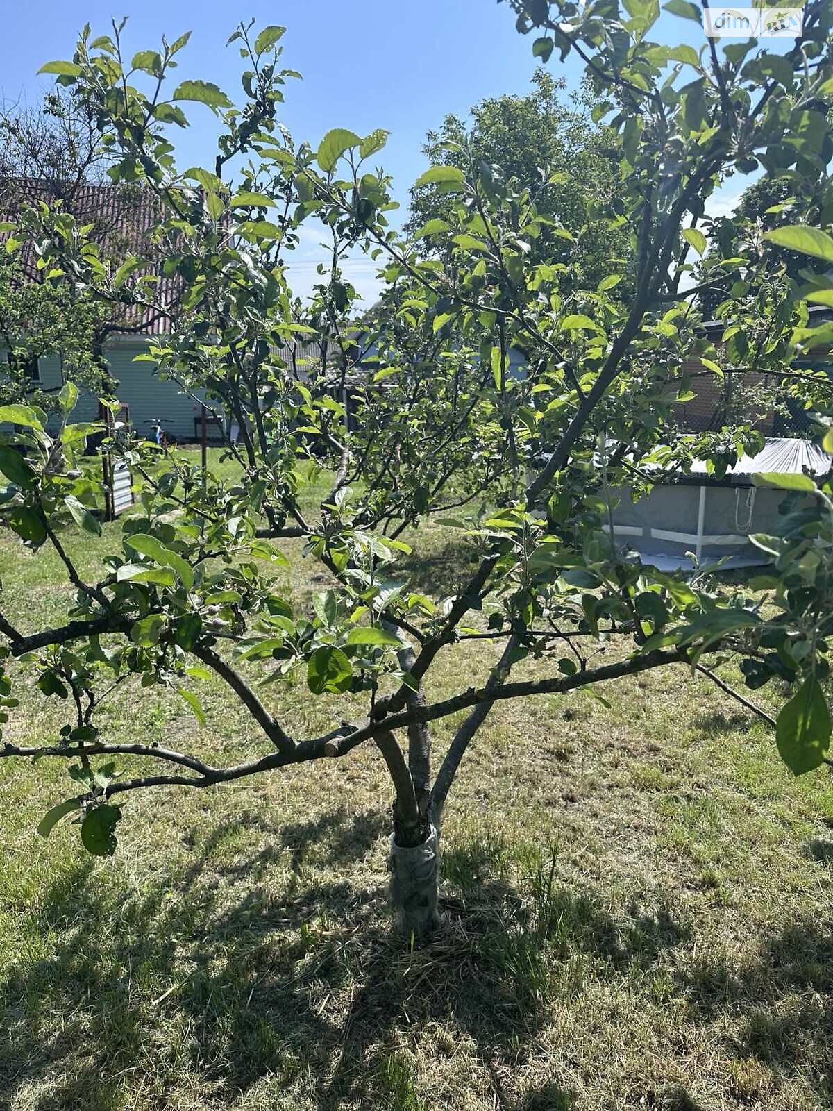 двухэтажный дом с ремонтом, 65 кв. м, дерево и кирпич. Продажа в Андреевке фото 1 двухэтажный дом с ремонтом, 65 кв. м, дерево и кирпич. Продажа в Андреевке фото 1