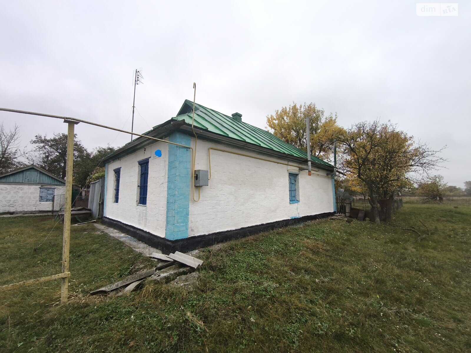 одноэтажный дом с гаражом, 45 кв. м, кирпич. Продажа в Анищенках фото 1