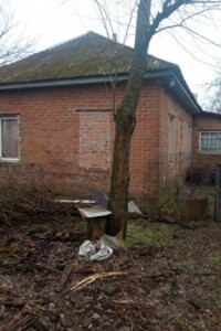одноповерховий будинок, 73 кв. м, цегла. Продаж у Анисову фото 2
