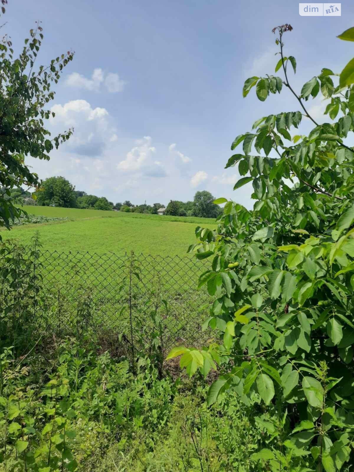 одноповерховий будинок з верандою, 66 кв. м, цегла. Продаж у Антонополі фото 1 одноповерховий будинок з верандою, 66 кв. м, цегла. Продаж у Антонополі фото 1