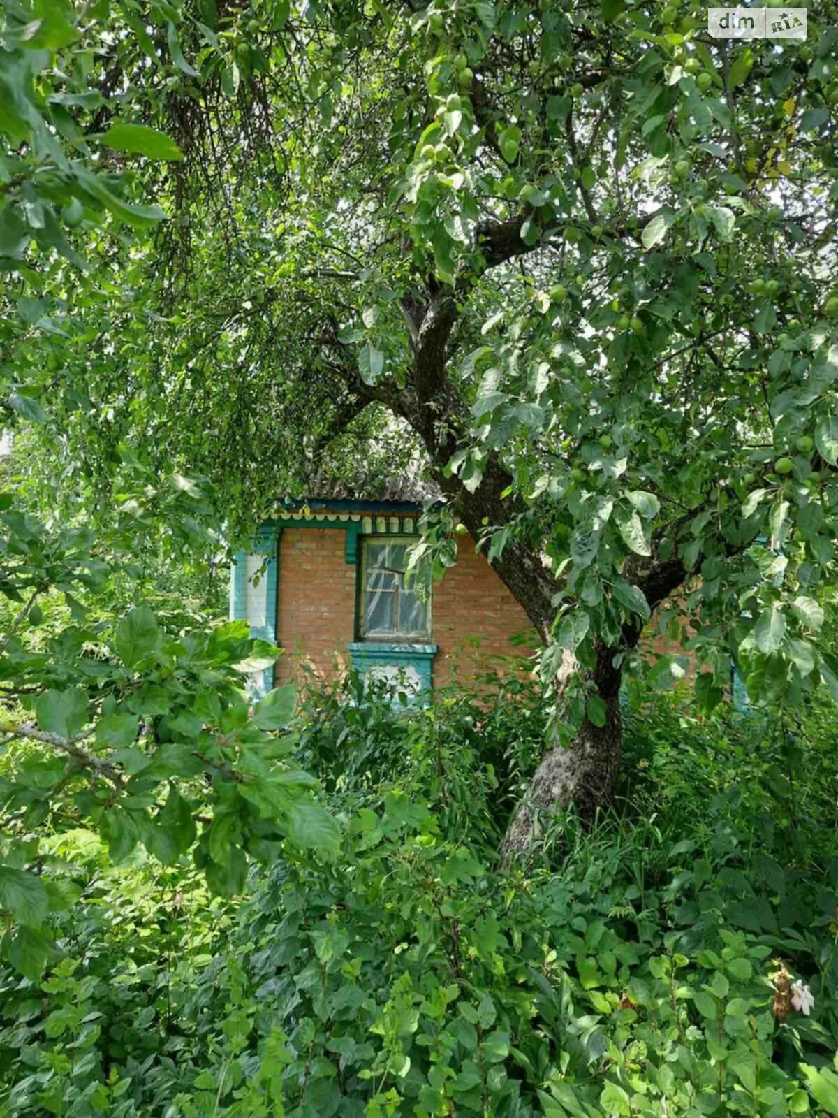 одноповерховий будинок з верандою, 66 кв. м, цегла. Продаж у Антонополі фото 1 одноповерховий будинок з верандою, 66 кв. м, цегла. Продаж у Антонополі фото 1