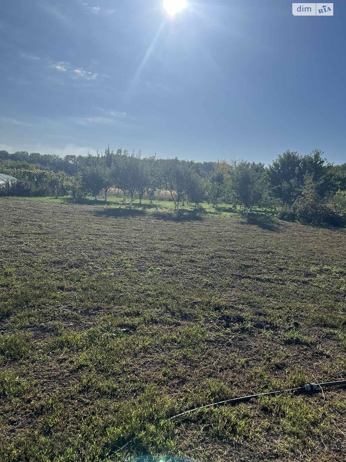 одноповерховий будинок з опаленням, 90 кв. м, цегла силікатна. Продаж у Аули фото 1 одноповерховий будинок з опаленням, 90 кв. м, цегла силікатна. Продаж у Аули фото 1