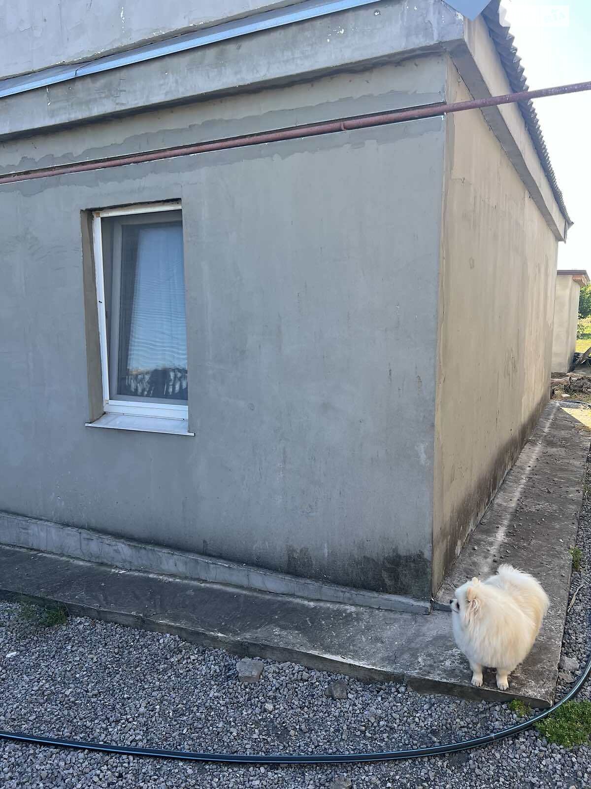 одноповерховий будинок з опаленням, 90 кв. м, цегла силікатна. Продаж у Аули фото 1 одноповерховий будинок з опаленням, 90 кв. м, цегла силікатна. Продаж у Аули фото 1