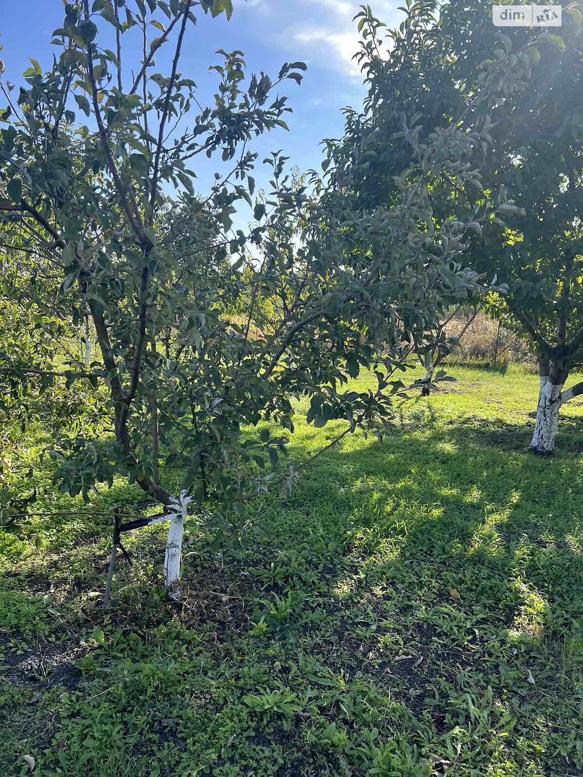 одноповерховий будинок з опаленням, 90 кв. м, цегла силікатна. Продаж у Аули фото 1 одноповерховий будинок з опаленням, 90 кв. м, цегла силікатна. Продаж у Аули фото 1