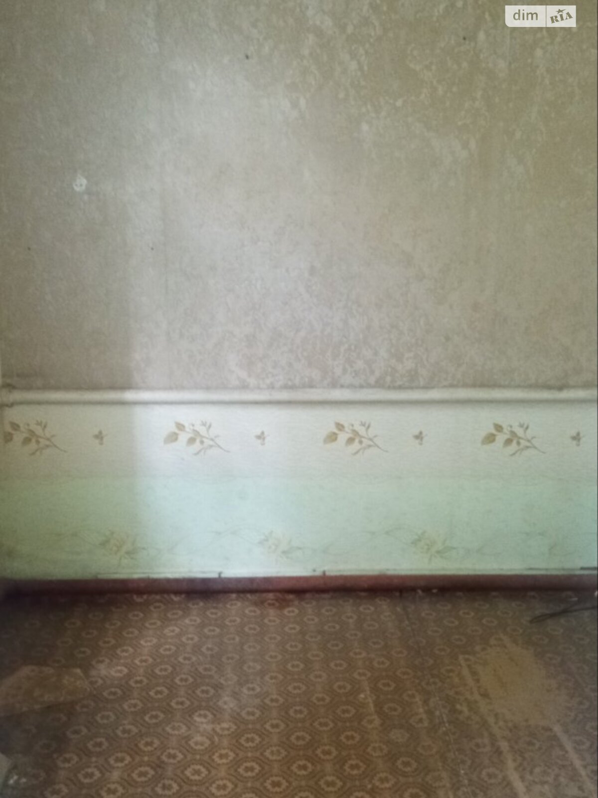 одноповерховий будинок з гаражем, 70 кв. м, цегла. Продаж у Бабаї фото 1