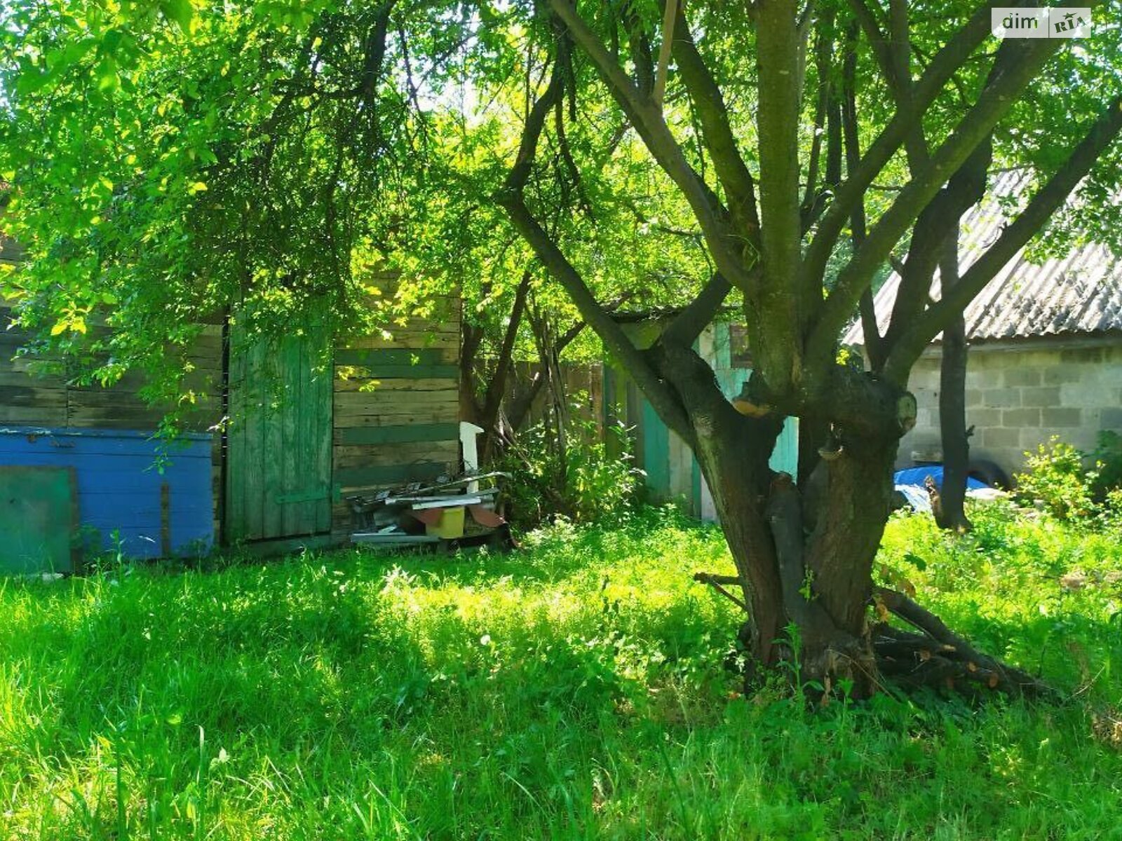 одноповерховий будинок з опаленням, 63.9 кв. м, цегла. Продаж у Бабинці фото 1 одноповерховий будинок з опаленням, 63.9 кв. м, цегла. Продаж у Бабинці фото 1
