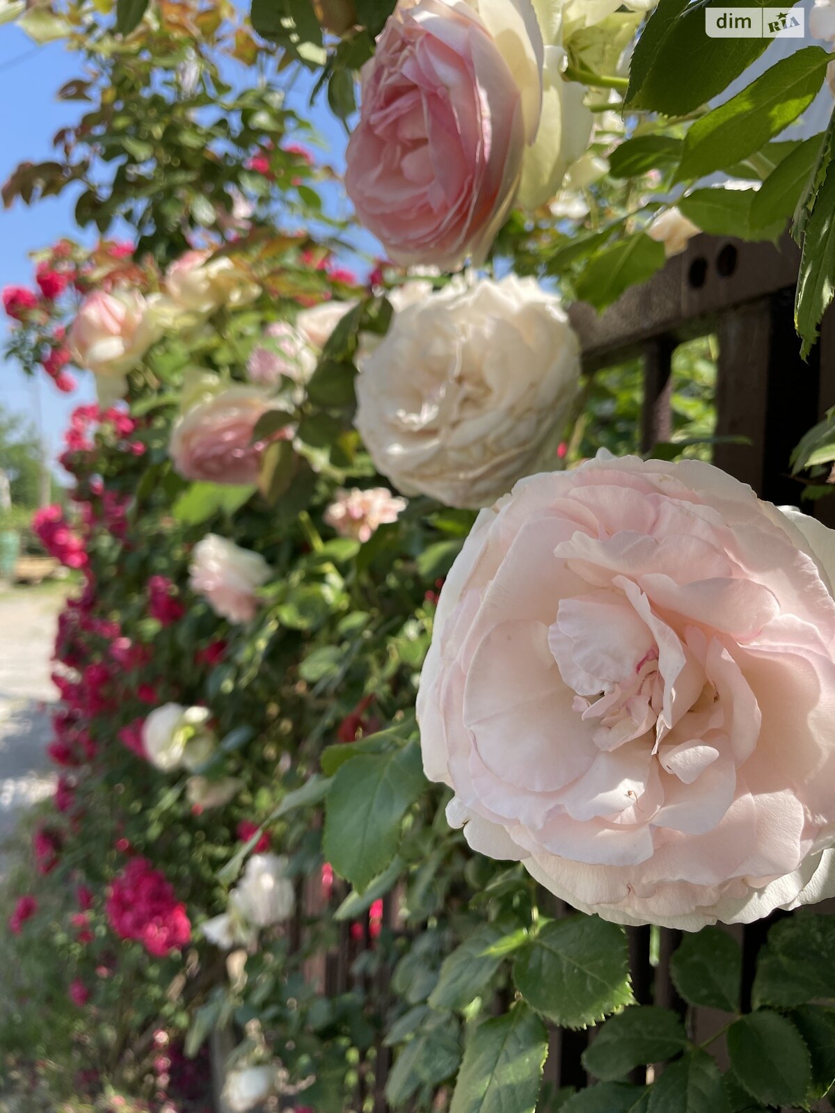 двоповерховий будинок, 54.4 кв. м, пінобетон. Продаж у Нижній Хортиці фото 1 двоповерховий будинок, 54.4 кв. м, пінобетон. Продаж у Нижній Хортиці фото 1