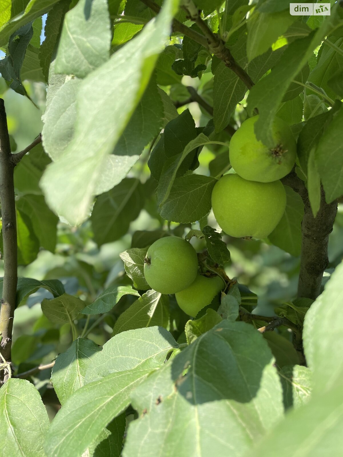 двоповерховий будинок, 54.4 кв. м, пінобетон. Продаж у Нижній Хортиці фото 1 двоповерховий будинок, 54.4 кв. м, пінобетон. Продаж у Нижній Хортиці фото 1