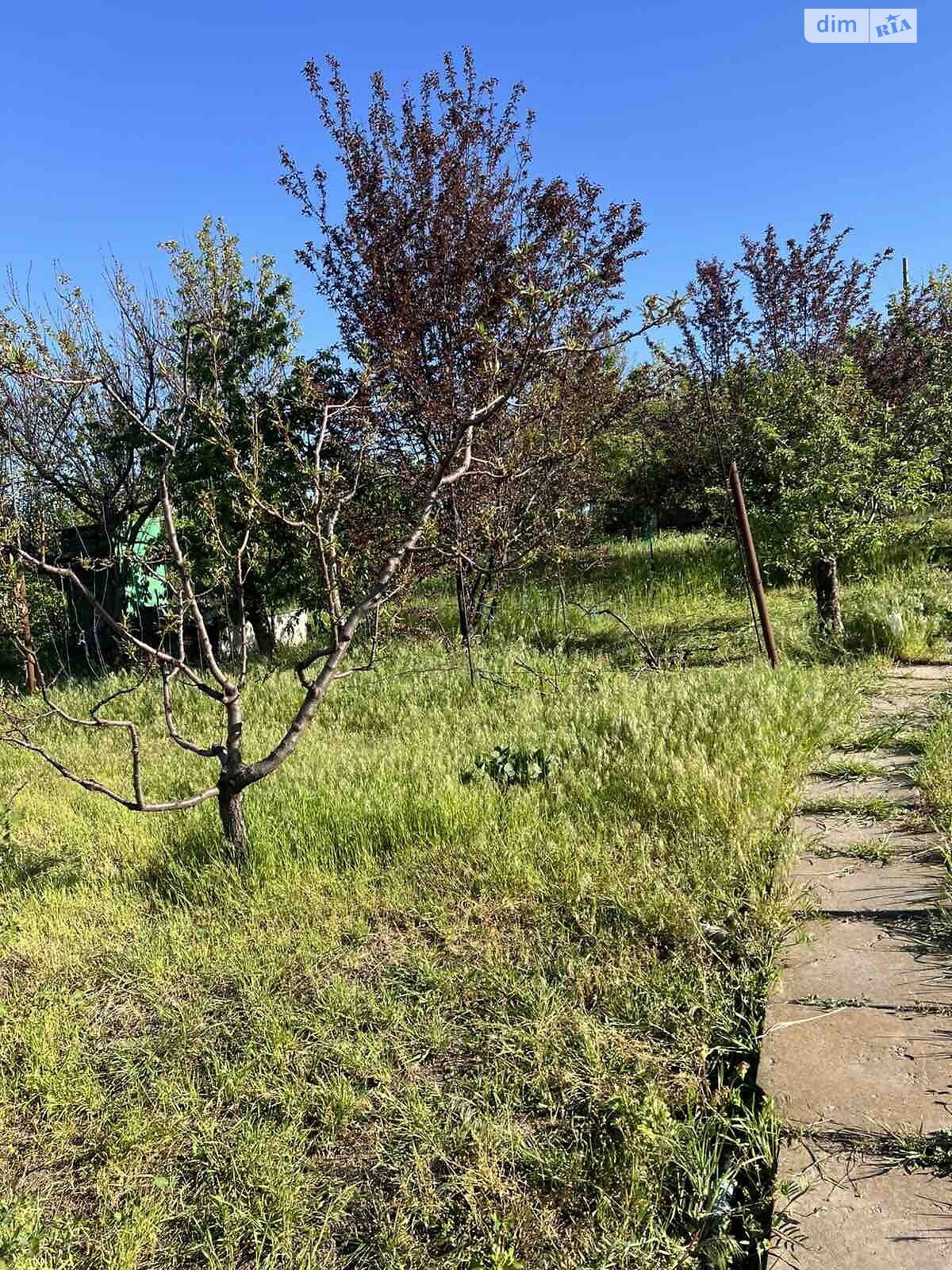 одноэтажный дом с отоплением, 40 кв. м, кирпич. Продажа в Бабурке фото 1 одноэтажный дом с отоплением, 40 кв. м, кирпич. Продажа в Бабурке фото 1