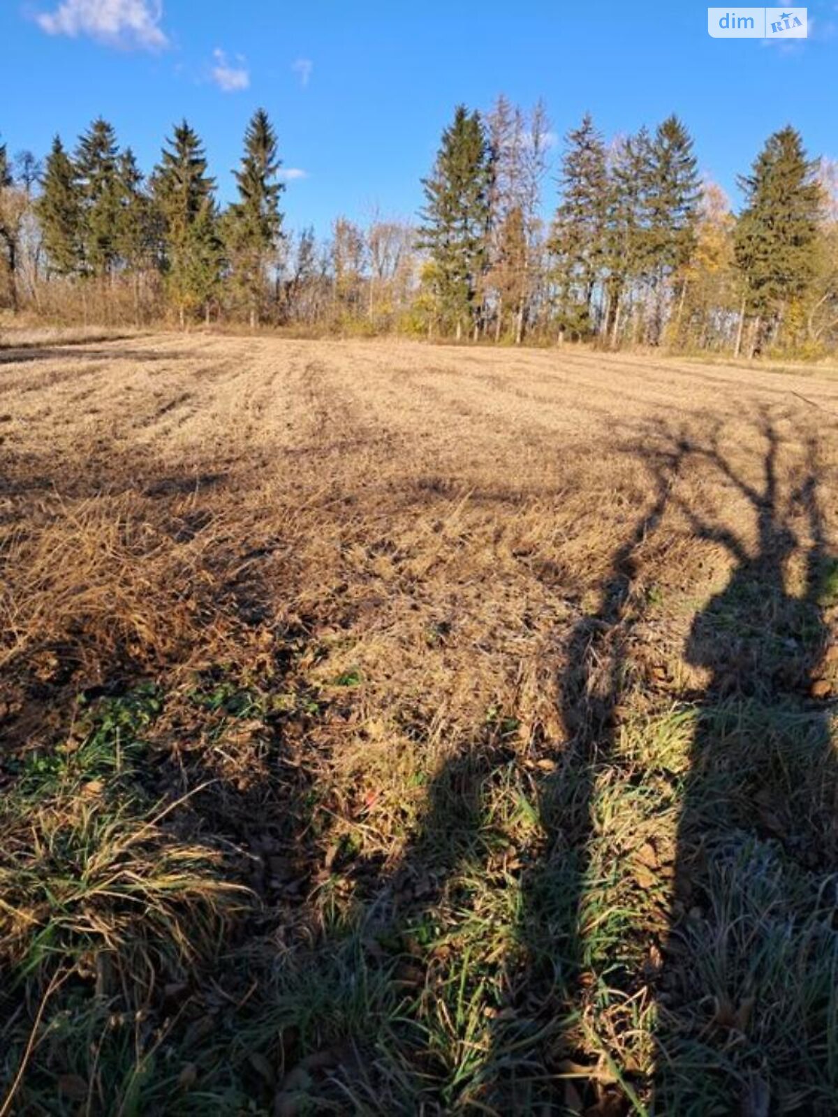 одноэтажный дом, 93.5 кв. м, кирпич. Продажа в Бабушках фото 1 одноэтажный дом, 93.5 кв. м, кирпич. Продажа в Бабушках фото 1