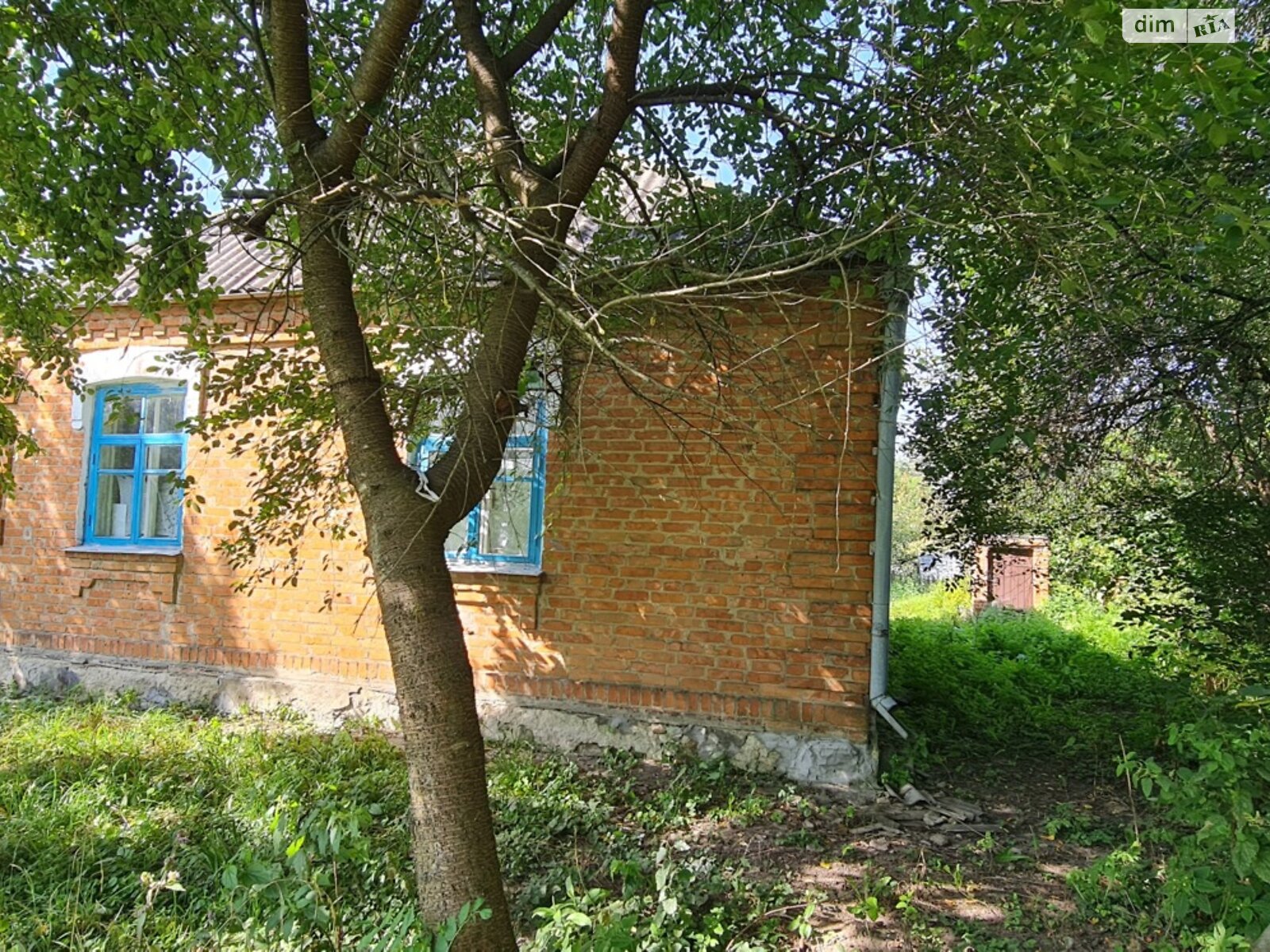 одноповерховий будинок з верандою, 64.2 кв. м, цегла. Продаж у Багринівцях фото 1 одноповерховий будинок з верандою, 64.2 кв. м, цегла. Продаж у Багринівцях фото 1