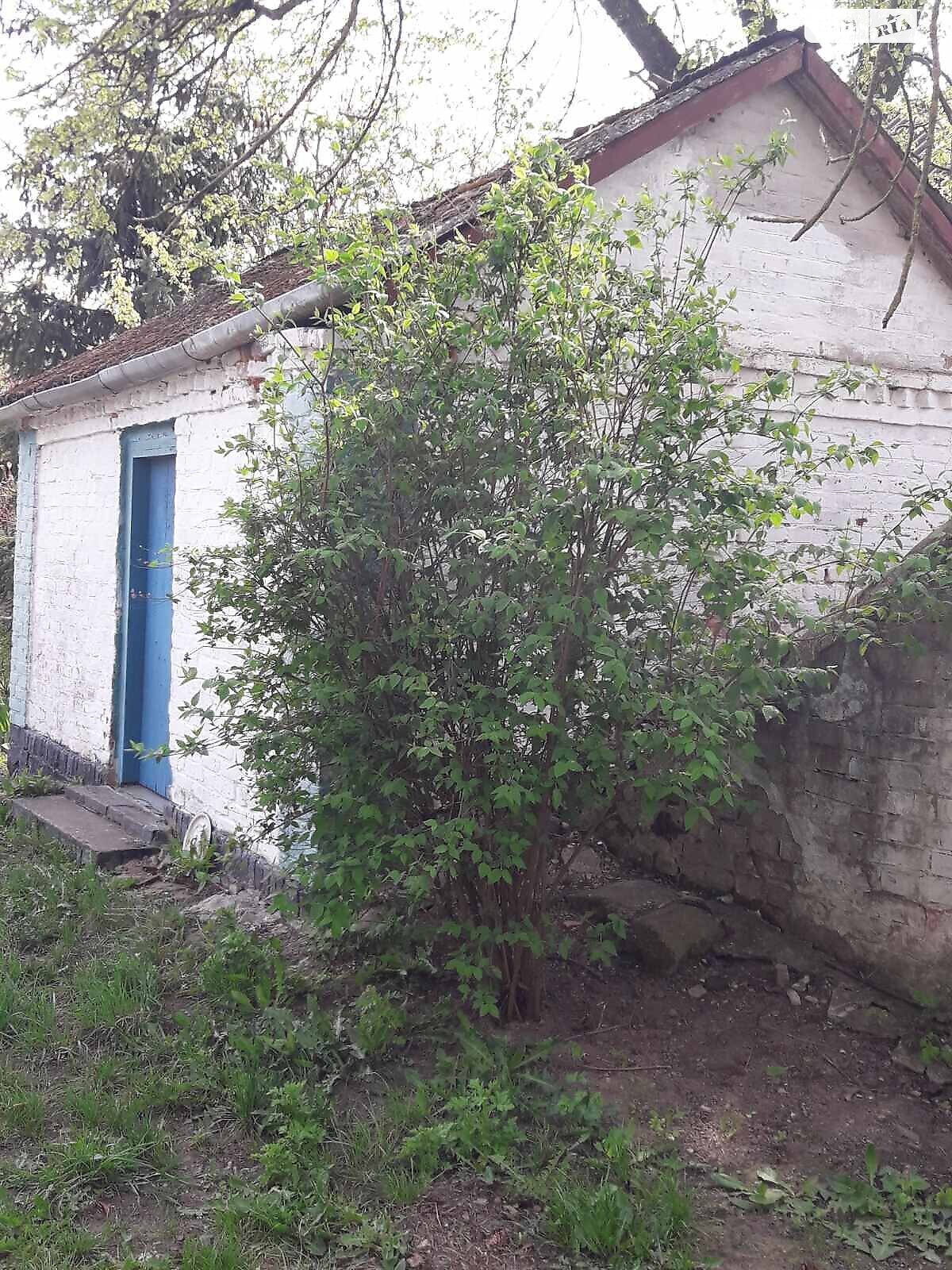 одноэтажный дом, 60 кв. м, кирпич. Продажа в Багриновцах фото 1 одноэтажный дом, 60 кв. м, кирпич. Продажа в Багриновцах фото 1