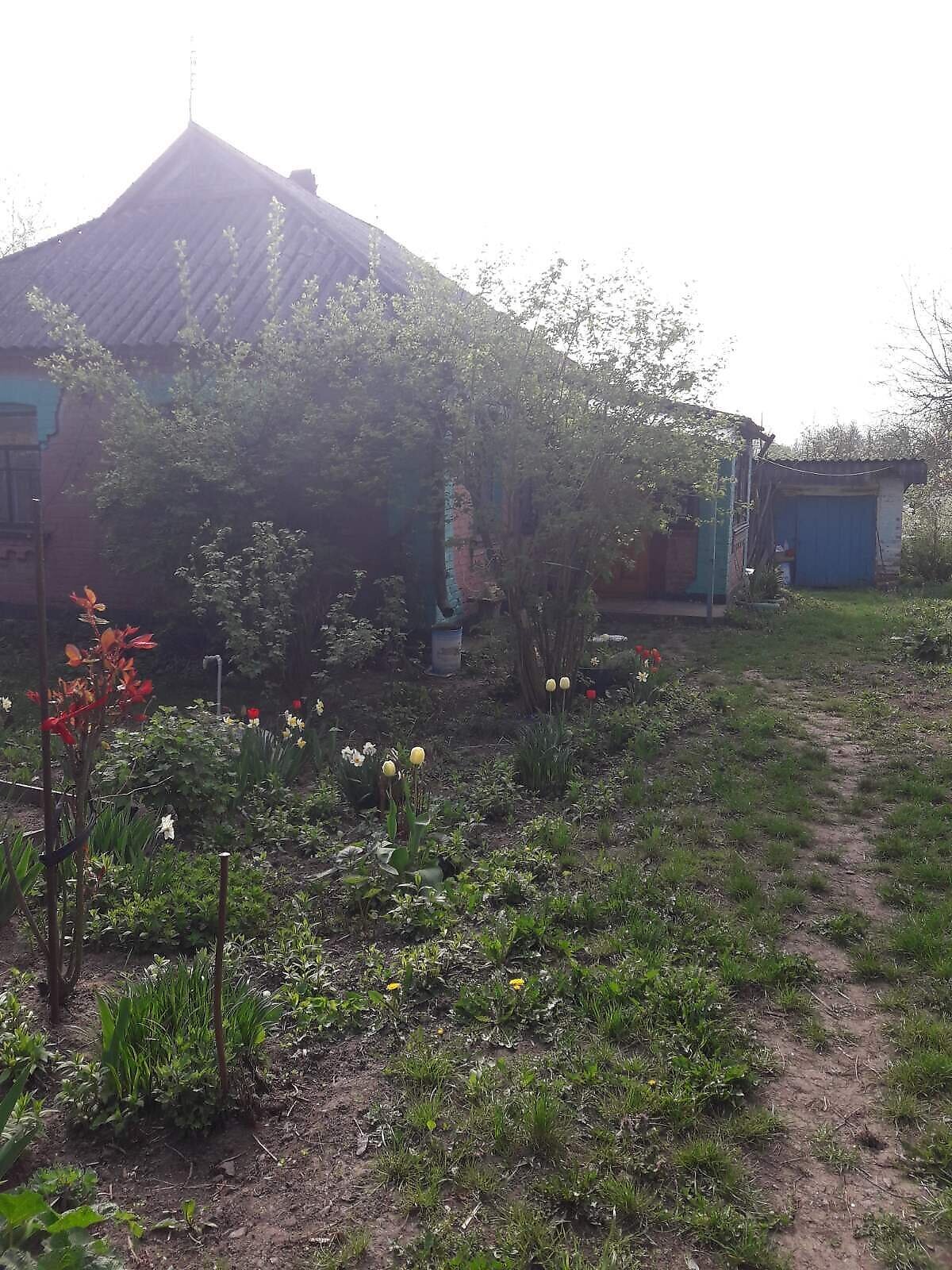 одноэтажный дом, 60 кв. м, кирпич. Продажа в Багриновцах фото 1 одноэтажный дом, 60 кв. м, кирпич. Продажа в Багриновцах фото 1