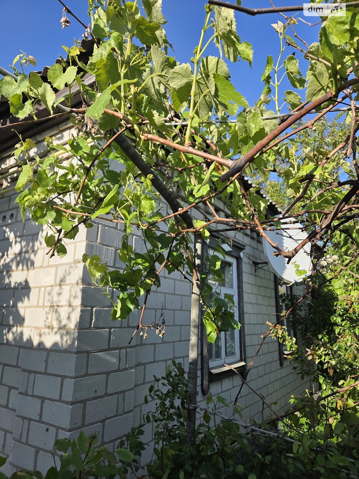 одноповерховий будинок з гаражем, 58 кв. м, цегла. Продаж в Бахмачі, район Бахмач фото 1 одноповерховий будинок з гаражем, 58 кв. м, цегла. Продаж в Бахмачі, район Бахмач фото 1