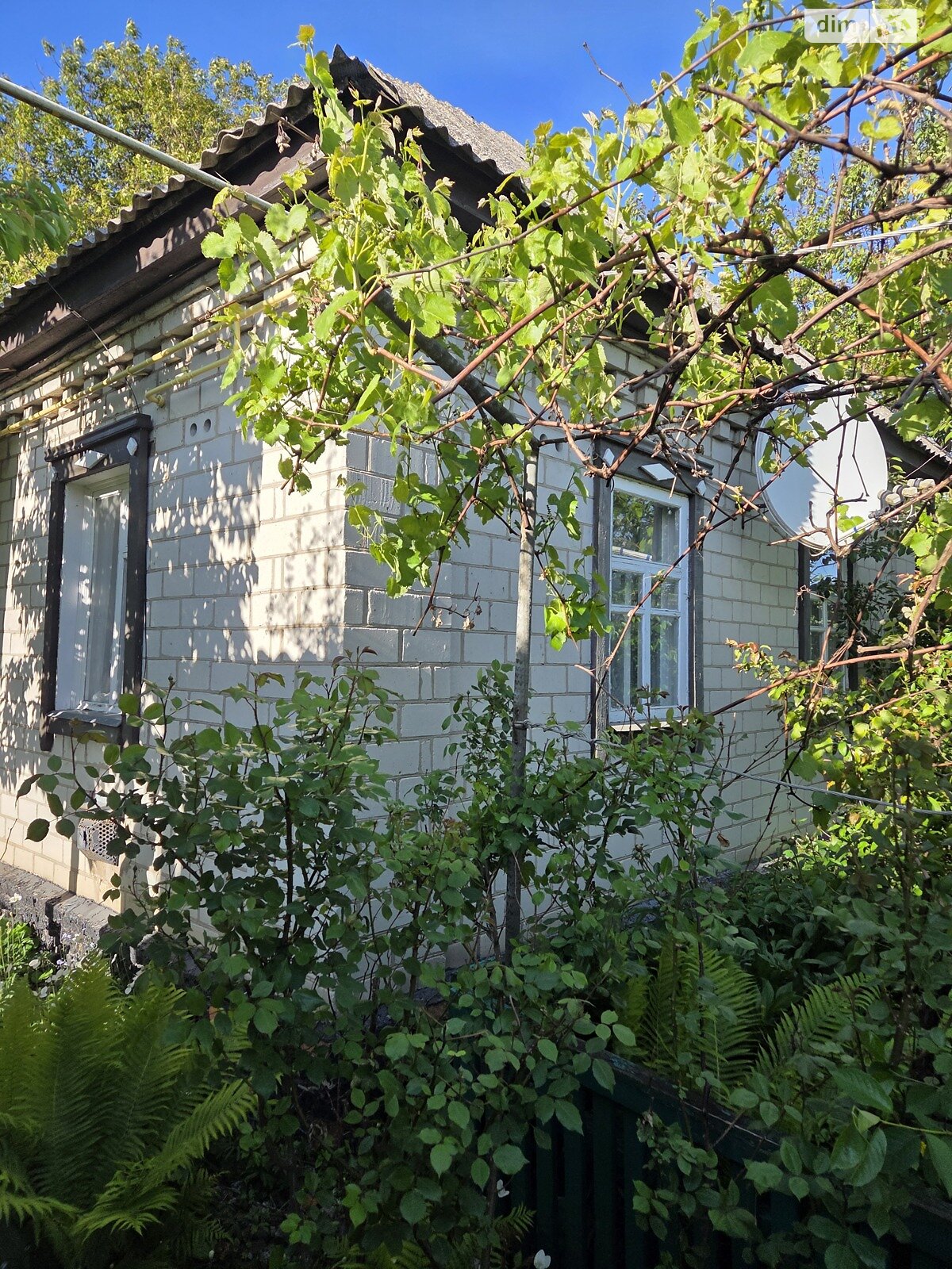 одноповерховий будинок з гаражем, 58 кв. м, цегла. Продаж в Бахмачі, район Бахмач фото 1 одноповерховий будинок з гаражем, 58 кв. м, цегла. Продаж в Бахмачі, район Бахмач фото 1